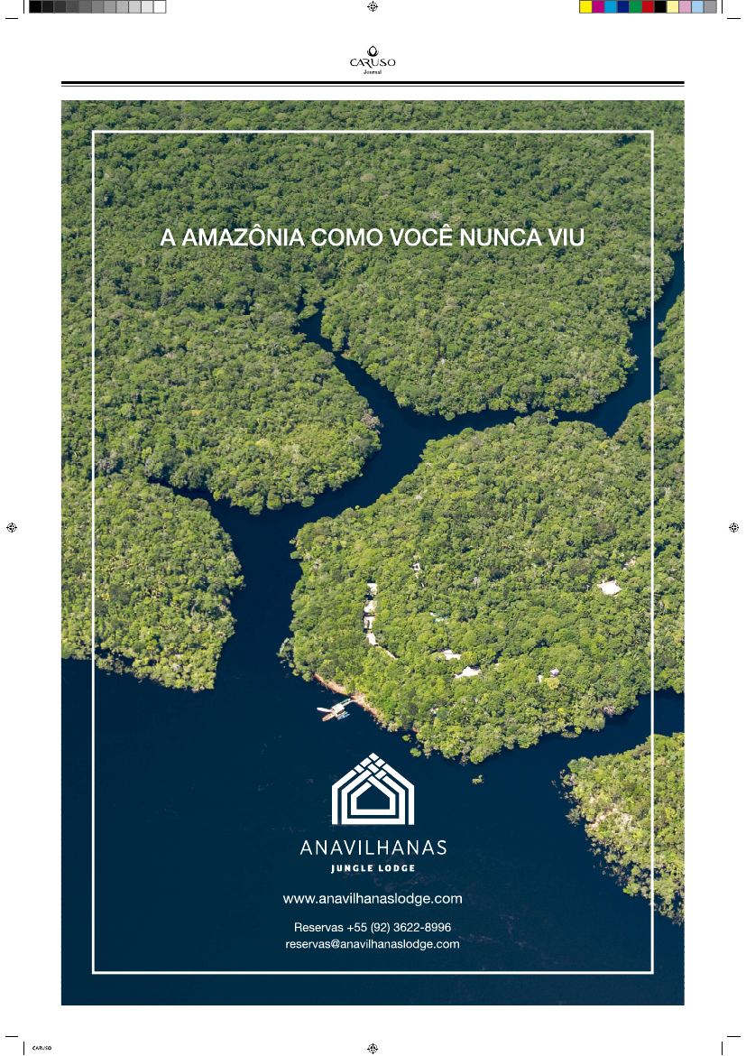Nº 008 — página 15